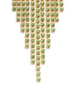 Orecchini pendenti lime